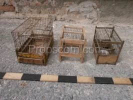 Wooden cages