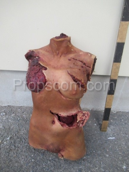 Torso of a woman's body