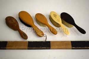 Shoe brushes