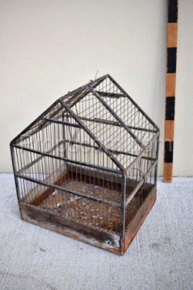 Wire cage