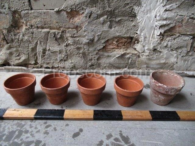 Terracotta flower pots