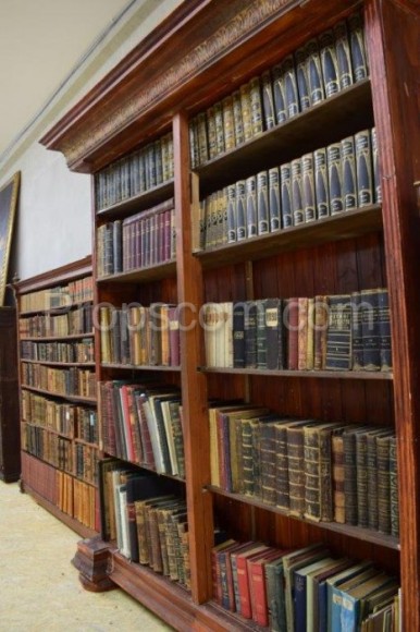 Shelves with books