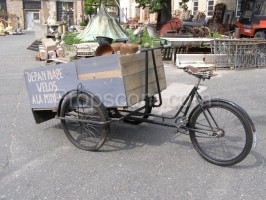 Business tricycle