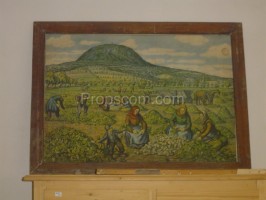 An image of a harvest field