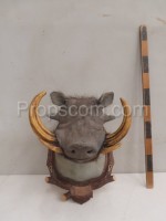 Warthog