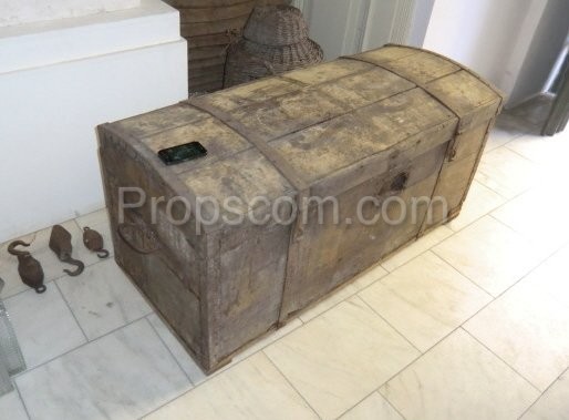 Ship's trunk