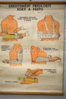 School poster - Immobilization of the forearms