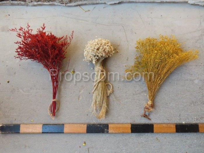 Dried flowers