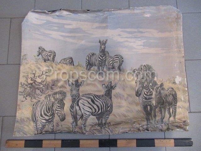 Schulplakat - Zebras