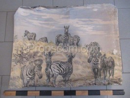 School poster - Zebras