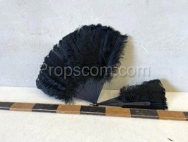 Carnival fans black