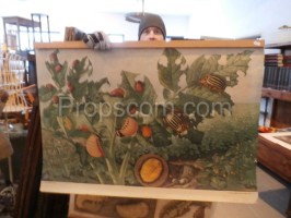 School poster - Potato beetle