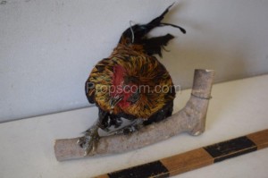 A stuffed rooster