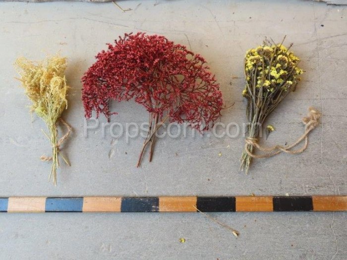 Dried flowers