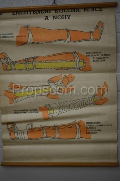 School poster - Immobilization of the knee