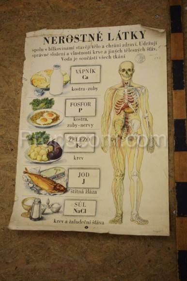 School poster - Mineral substances