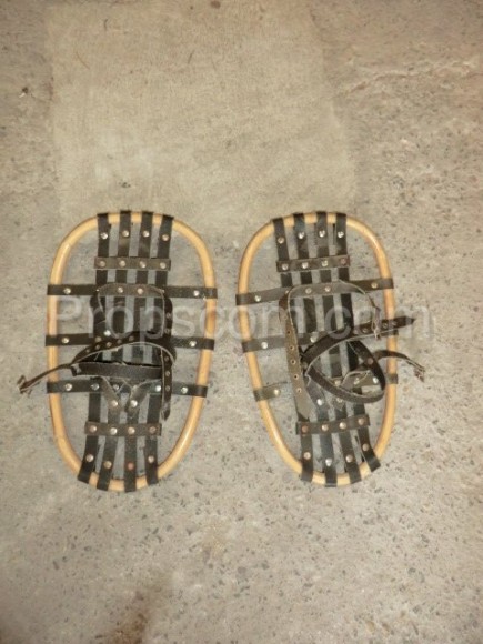 Snowshoes