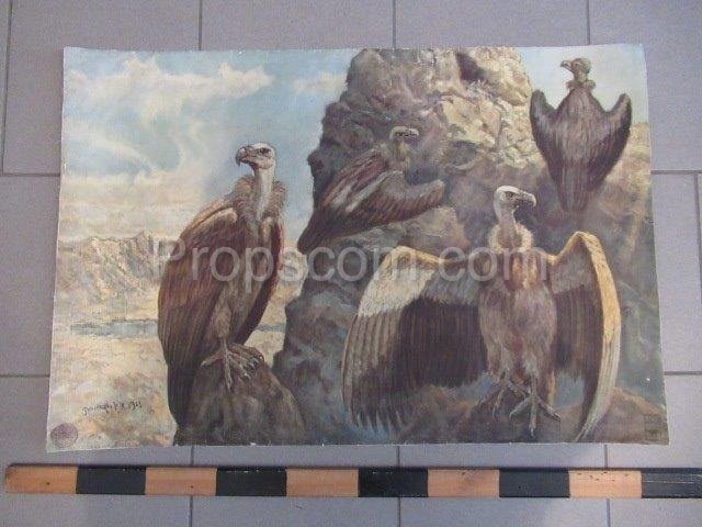 School poster - Vultures