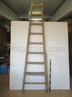 Stepladder