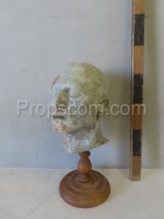 Head disfigured by disease