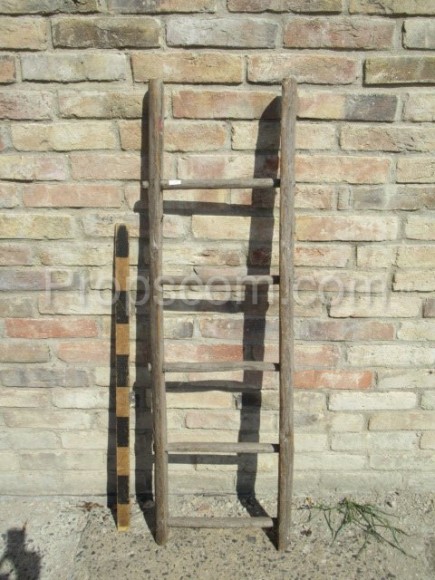 small ladder