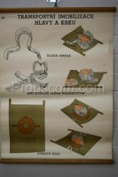 School poster - Transport immobilization