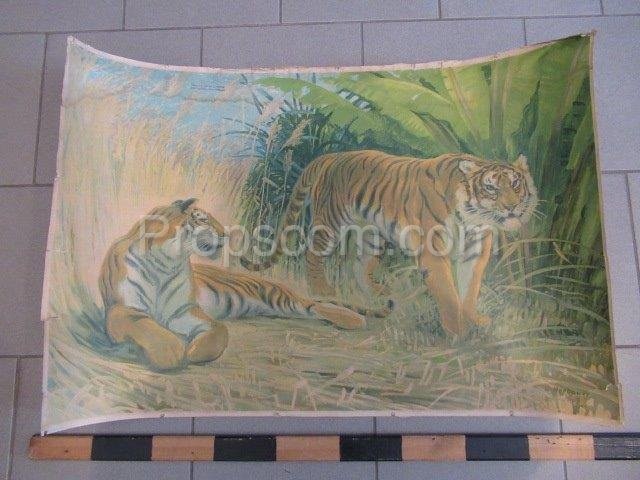 Školní plakát – Tygři 