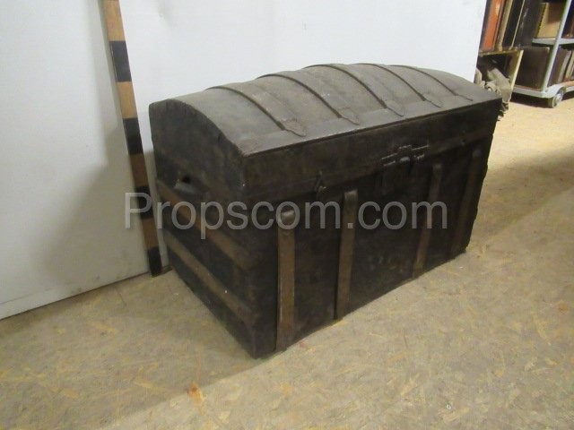 Ship's trunk