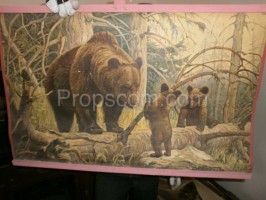 School poster - Brown bear