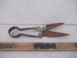 Sheep shears